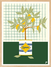 Affiche Botanique LE CITRONNIER Julie Roubergue