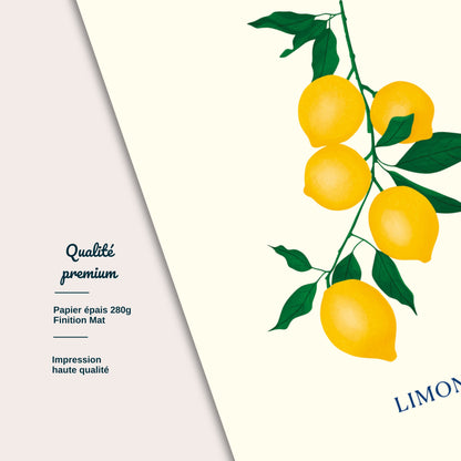 Détail carte postale Dolce Vita, Limone impression papier épais illustration Julieroubergue